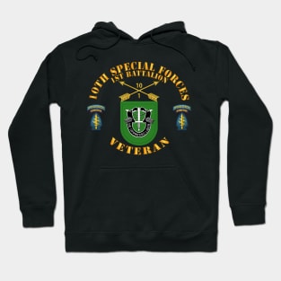 1st Bn, 10th Special Forces w Flash - SSI Hoodie